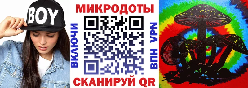 Галлюциногенные грибы Psilocybe  Арзамас 